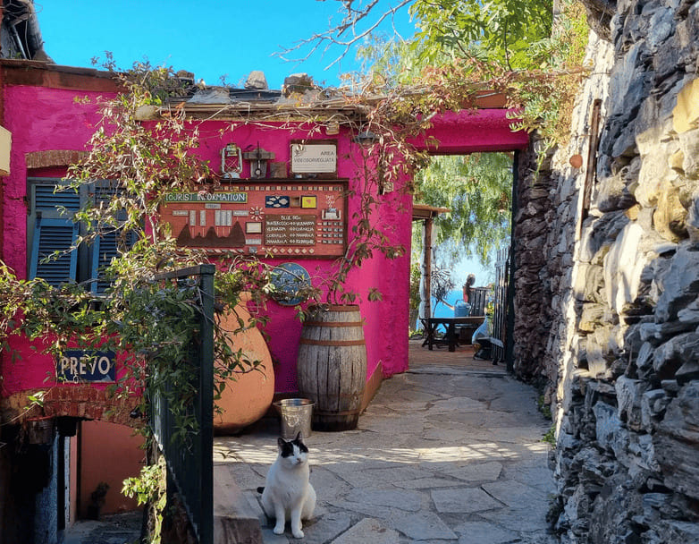 Leo's Lodge Cinque Terre