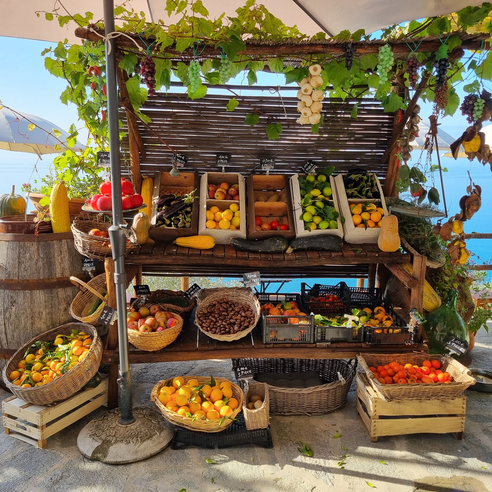 Azienda Agricola Sentiero Azzurro