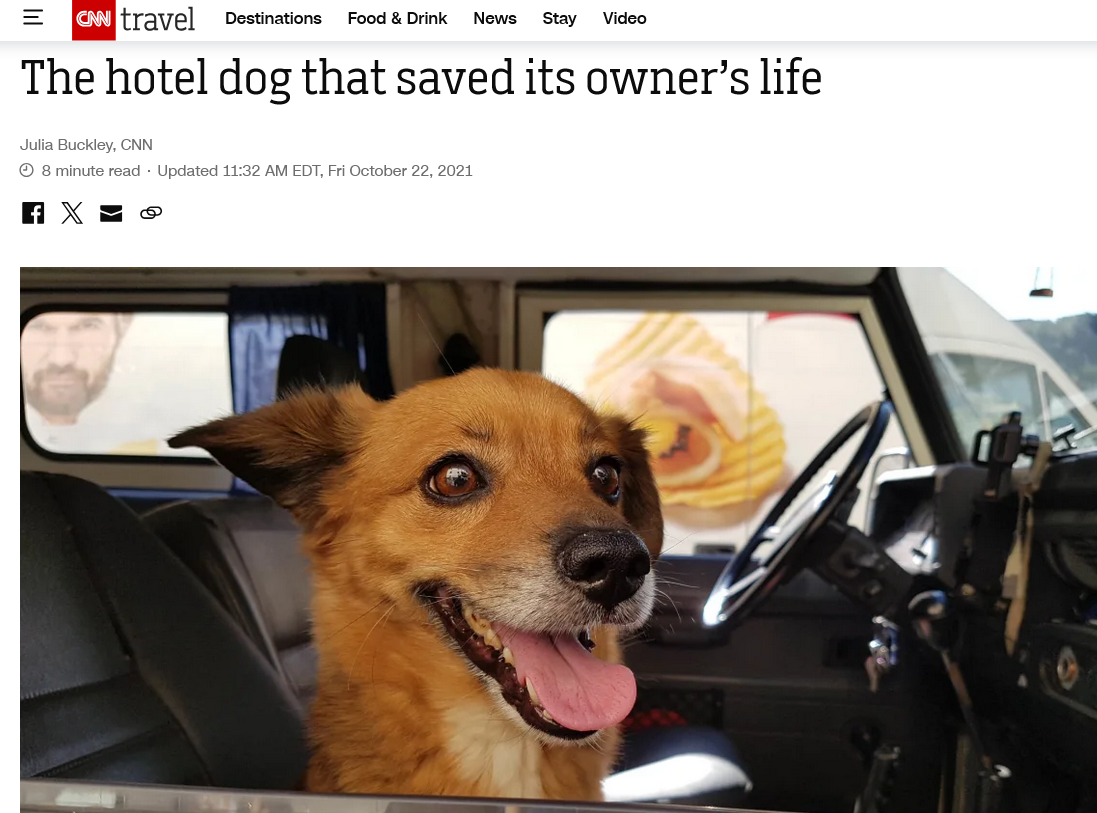 Leo, the hotel Dog