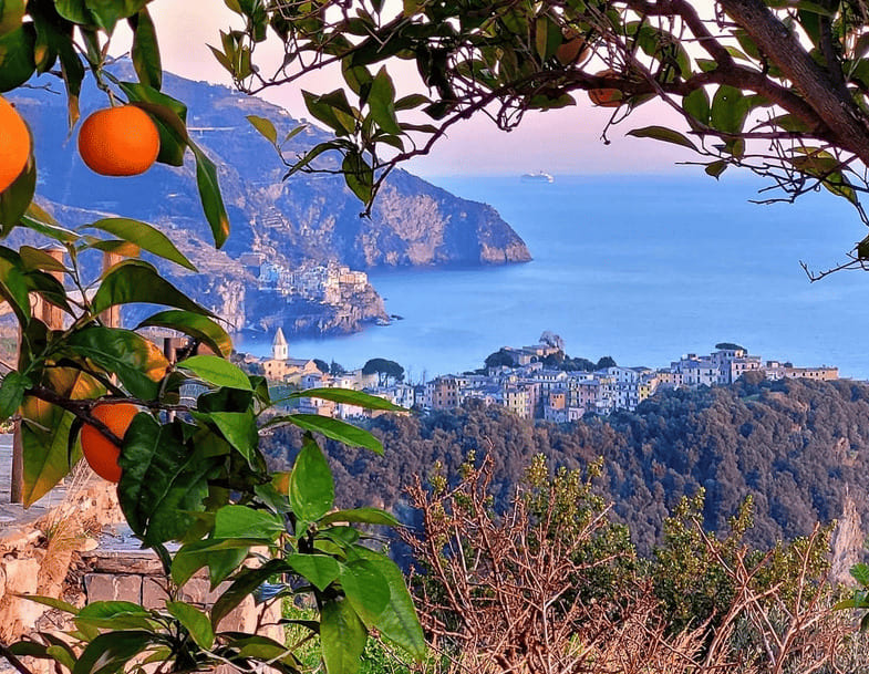 Vernazza Hiking Trial